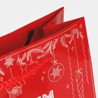 Пакет подарочный новогодний ламинированный «Котейка», MS 18 х 23 х 8 см