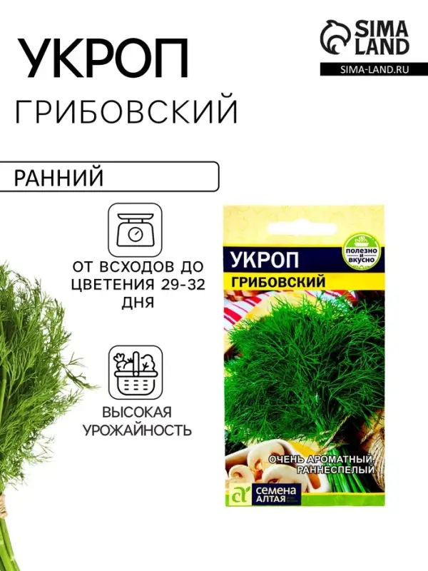 Семена Укроп &laquo;Грибовский&raquo;, 2 г