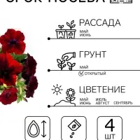 Семена цветов Петуния &laquo;Софистика черная&raquo; F1, крупноцветковая, 4 шт.