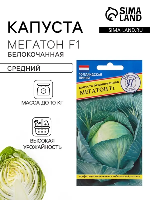Семена Капуста белокочанная &laquo;Мегатон&raquo;, F1, 10 шт., &laquo;Престиж семена&raquo;