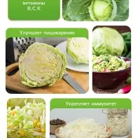 Семена Капуста белокочанная &laquo;Колобок&raquo;, 0.1 г, &laquo;Рецепты дедушки Никиты&raquo;