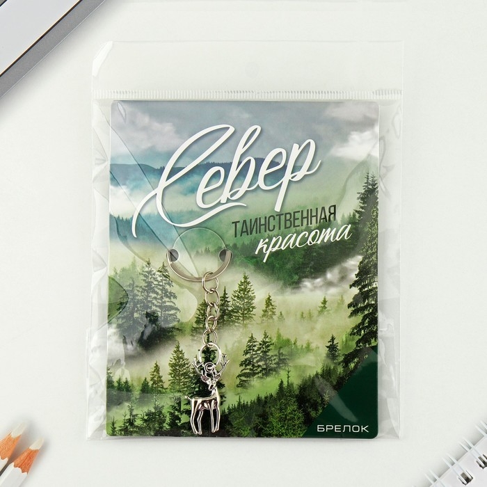 Брелок для ключей Брелок для ключей "Север"