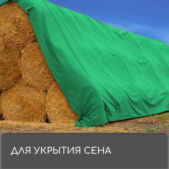 Тент защитный, 6 × 5 м, плотность 120 г/м², УФ, люверсы шаг 1 м, зелёный Тент защитный, 6 × 5 м, плотность 120 г/м², УФ, люверсы шаг 1 м, зелёный
