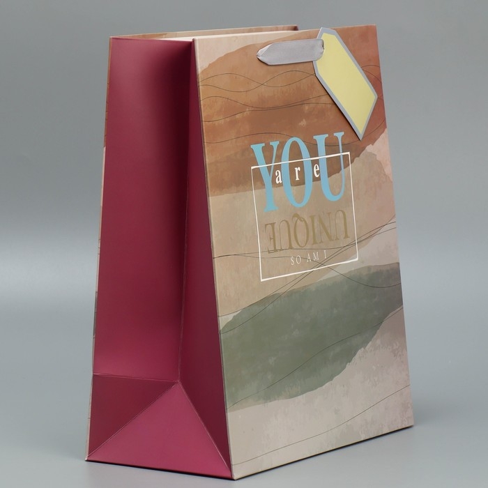 Пакет подарочный ламинированный, упаковка, «Ты особенный», 25.4 х 30.5 х 12.7 см Пакет подарочный ламинированный, упаковка, «Ты особенный», 25.4 х 30.5 х 12.7 см