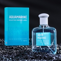 Туалетная вода мужская Colour ssncs Aquamarin, 100 мл (по мотивам Acqua Di Gio (G.Armani)