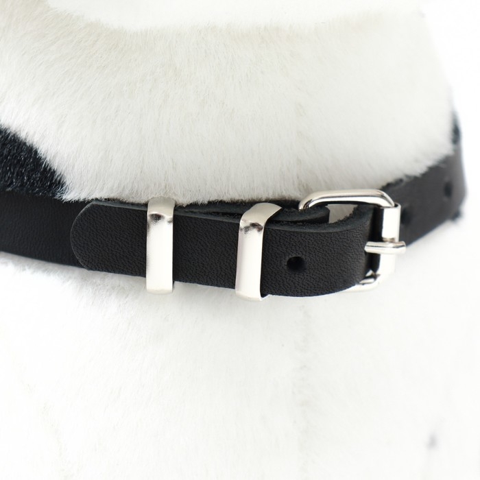 Шлейка кожаная однослойная Шлейка кожаная однослойная "Люкс", ОШ 26-34 см, ОГ 36-44 см, ширина 1,1 см, чёрная