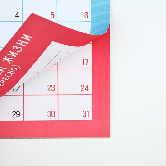 Календарь 2025 настенный, планинг «Новый год: Это мой год», 29 х 21 см Календарь 2025 настенный, планинг «Новый год: Это мой год», 29 х 21 см