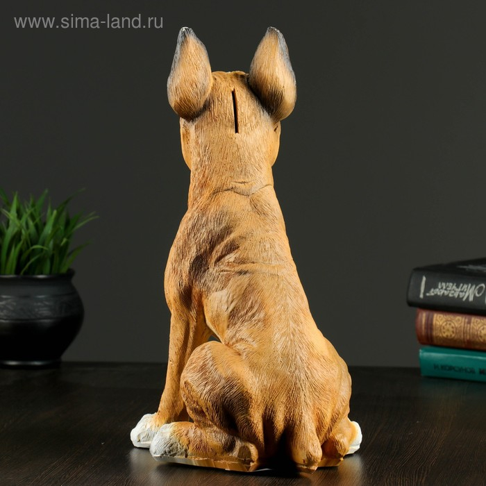 Копилка Копилка "Боксер", 36х24см