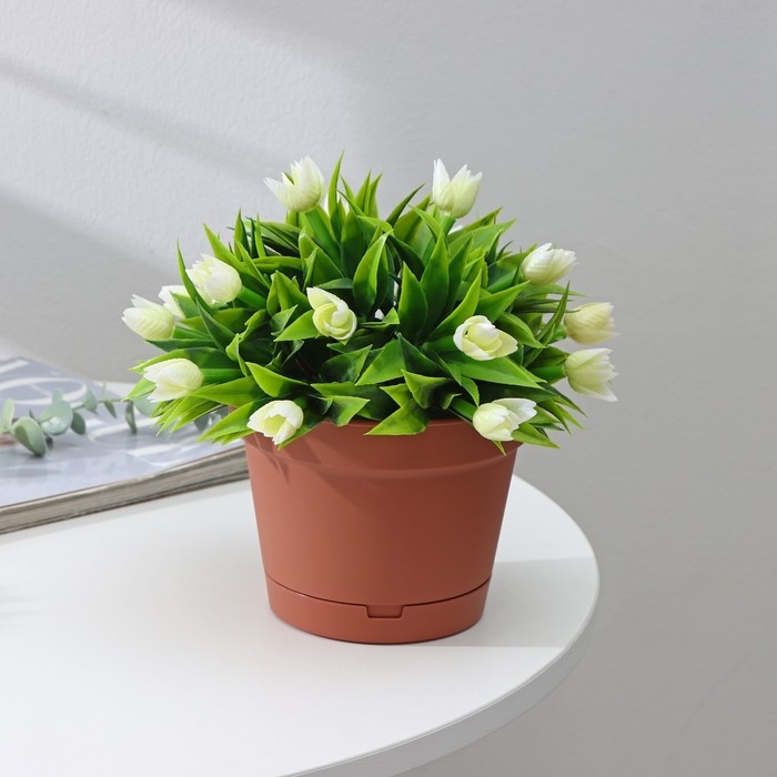 Горшок для цветов с поддоном Mint, 1,2 л, d=15 см, h=11,3 см, цвет терракотовый Горшок для цветов с поддоном Mint, 1,2 л, d=15 см, h=11,3 см, цвет терракотовый