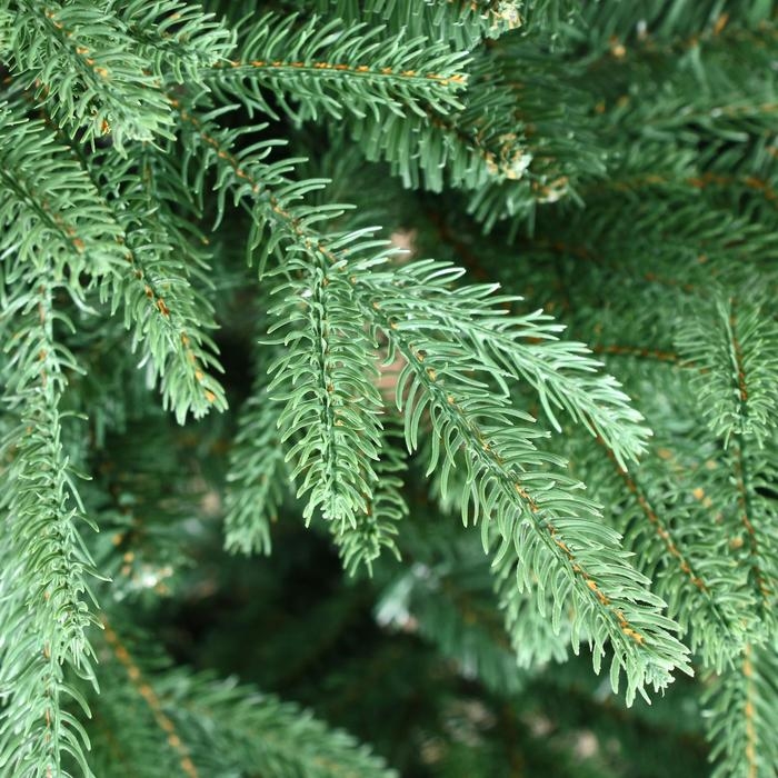 Ель искусственная премиум Карпатская 1,5 м (подставка металл) Ель искусственная премиум Карпатская 1,5 м (подставка металл)