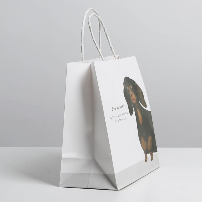 Пакет подарочный, упаковка, «Пирожочек», 22 х 22 х 11 см Пакет подарочный, упаковка, «Пирожочек», 22 х 22 х 11 см