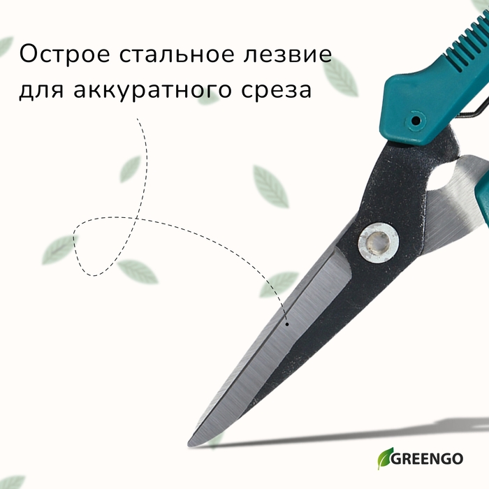 Ножницы садовые, 7 Ножницы садовые, 7" (18 см), с пластиковыми ручками, Greengo
