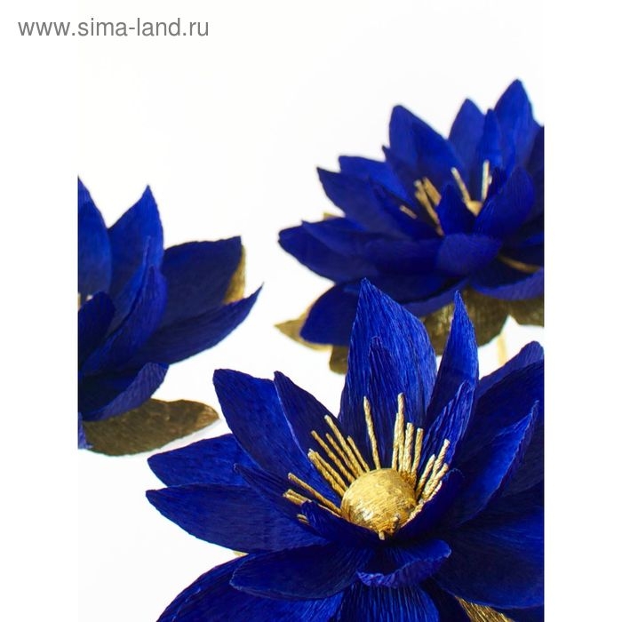 Бумага гофрированная, 955  Бумага гофрированная, 955 "Тёмно-синяя", 0,5 х 2,5 м