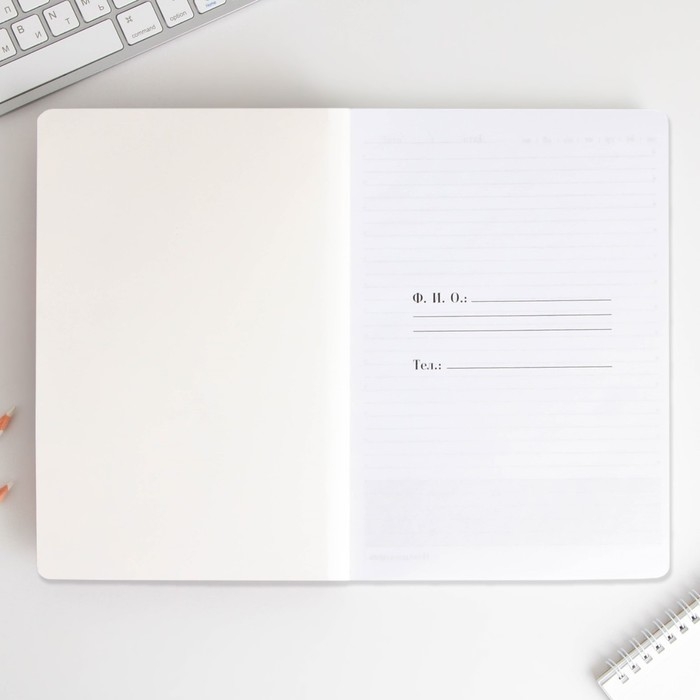 Большой ежедневник &laquo;Учителю: Учитель всегда прав&raquo; soft-touch, формат А5+, 96 листов, мягкая обложка, линейка