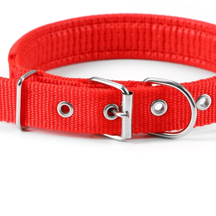 Ошейник Ошейник "Комфорт" комбинированный, 55 х 2,5 см, ОШ 40-50 см, красный