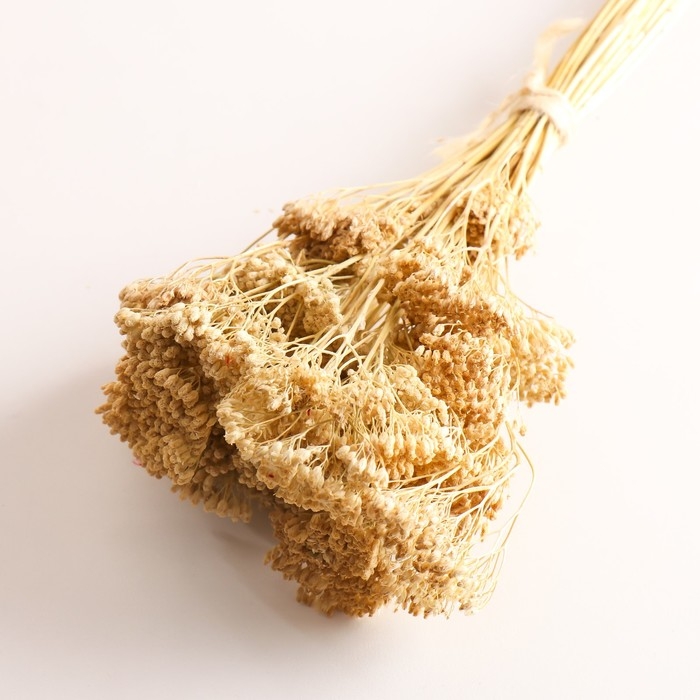 Набор сухоцветов Набор сухоцветов "Тысячелистник", банч длина 60 (+/- 6 см), выбеленный