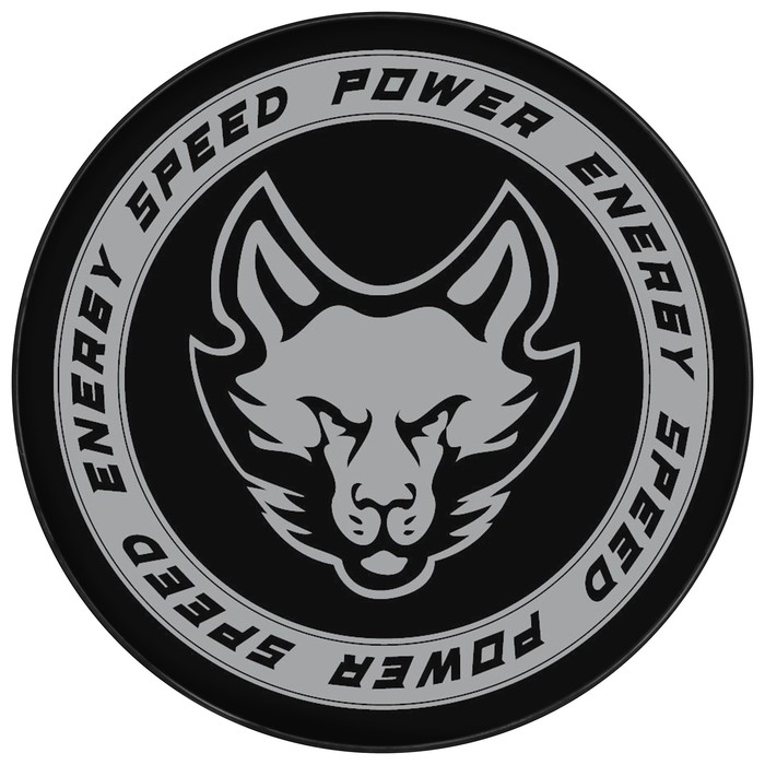 Шайба хоккейная Winter Star, взрослая, d=7,6 см Шайба хоккейная Winter Star, взрослая, d=7,6 см