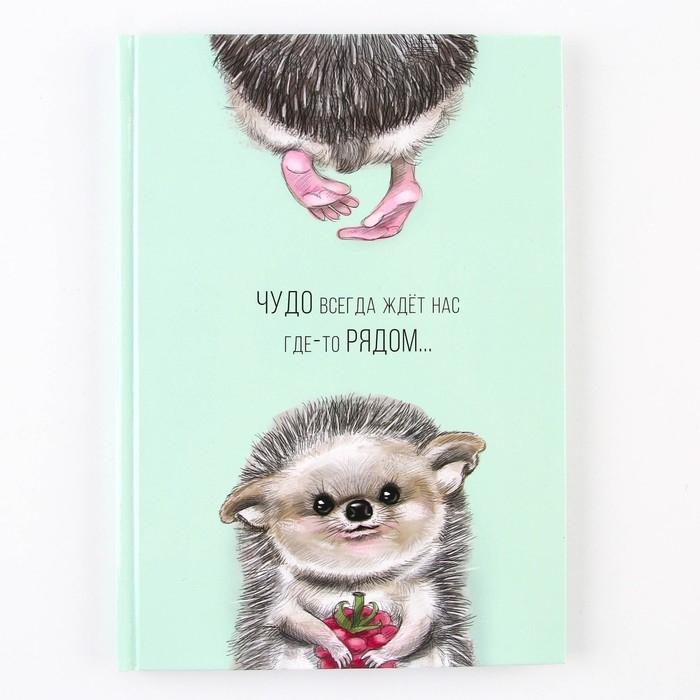 Ежедневник  Ежедневник "Чудо рядом", твёрдая обложка, А5, 80 листов