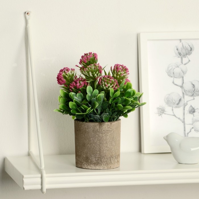 Бонсай в горшке Бонсай в горшке "Агапантус" 8х18 см, микс