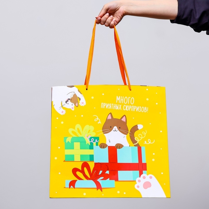 Пакет под торт Пакет под торт "Подарки" 40х40х40см