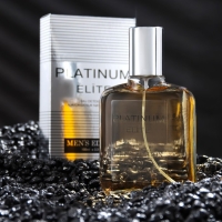 Туалетная вода Men's Edition Platinum Elite, 100 мл (по мотивам Egoiste Platinum (Chanel)