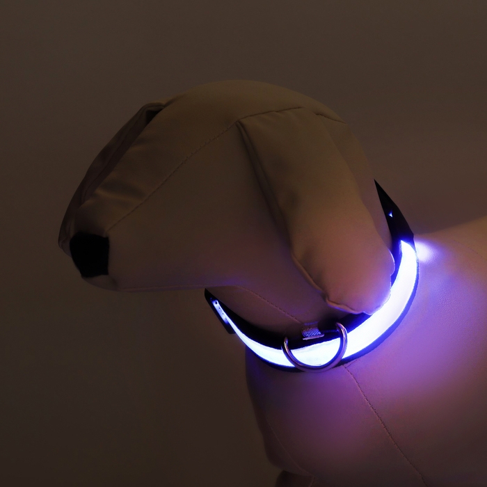 Ошейник с подсветкой Flash 3 режима свечения размер S, ОШ 35-43 х 2,5 см синий Ошейник с подсветкой Flash 3 режима свечения размер S, ОШ 35-43 х 2,5 см синий
