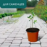 Горшок для рассады, 1.7 л, d=16 см, h=13.5 см, мягкий пластик, терракот, Greengo