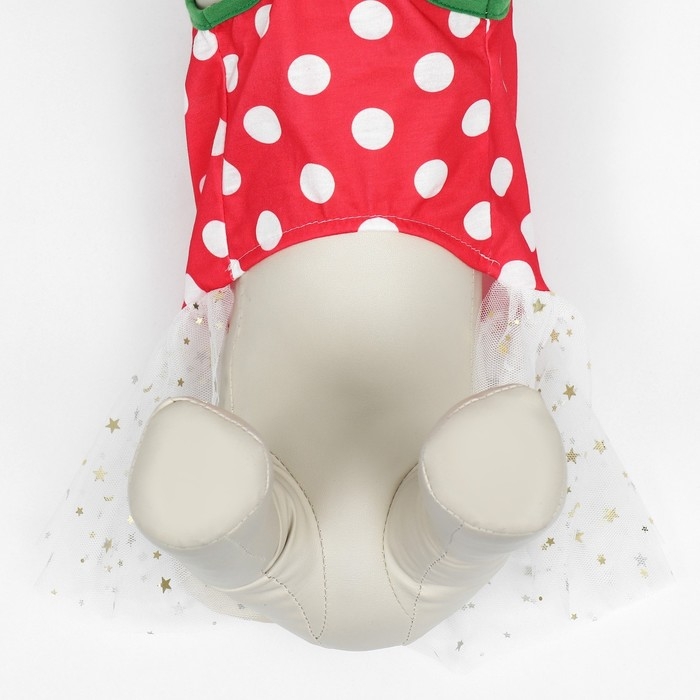 Костюм для животных Костюм для животных "Фея", размер M (ДС 31, ОГ 44, ОШ 28 см), красно-белый