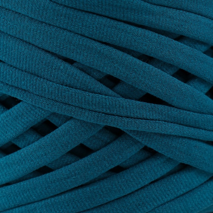 Трикотажная пряжа, ширина 7-9 мм, 100м/295 гр±10% (25 - мурена)