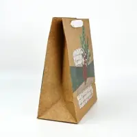 Набор пакетов крафтовых «Новогоднее поздравление» Набор пакетов крафтовых «Новогоднее поздравление»