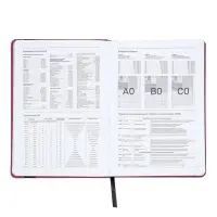 Ежедневник недатированный А5 Monochrome. Anemone, 136 листов, 7БЦ, розовый, soft touch, с резинкой