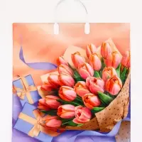 Пакет подарочный &laquo;Белиссимо&raquo;, полиэтиленовый с пластиковой ручкой, 40&times;44, 100 мкм