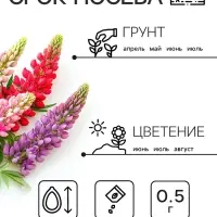 Семена цветов Люпин "Смесь Рассела", 0,5 г