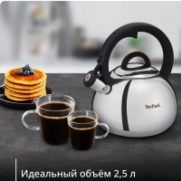 Чайник Kettle ss induction N4180317, для всех видов плит