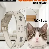 Ошейник для кошек &laquo;Котя&raquo;, 30&times;1 см, со светоотражающим покрытием, серый