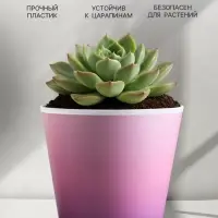 Кашпо для цветов &laquo;Розовый закат&raquo;, 800 мл, d=12 см, h=11 см, пластиковое
