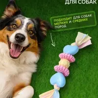 Игрушка жевательная Пижон Premium на верёвке, 5 элементов, термопластичная резина, МИКС