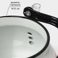 Чайник эмалированный &laquo;Астры&raquo;, 3 л, металлическая ручка, белый