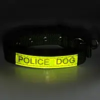 Ошейник двухслойный с вертлюгом, 2.5 см, зелёный