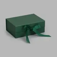 Коробка подарочная на магните с бантом, 22&times;17&times;8.5 см, самосборная, зелёная