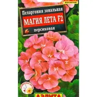 Семена цветов Пеларгония Магия лета F2 персиковая Мн, Ц/П,5 шт. Семена цветов Пеларгония Магия лета F2 персиковая Мн, Ц/П,5 шт.