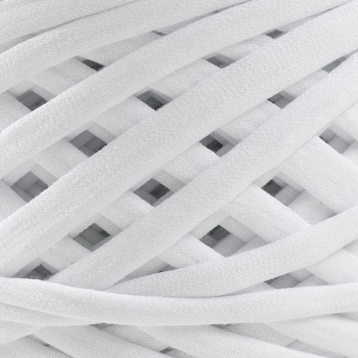 Трикотажная пряжа, ширина 7-9 мм, 100м/295 гр±10% (00 - белый)