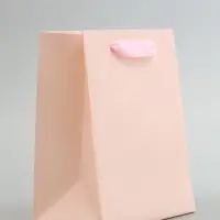 Пакет подарочный, с окном, 20&times;15&times;10 см, розовый