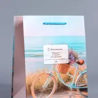 Пакет подарочный ламинированный &laquo;Путь к мечте&raquo;, 18&times;22.3&times;10 см