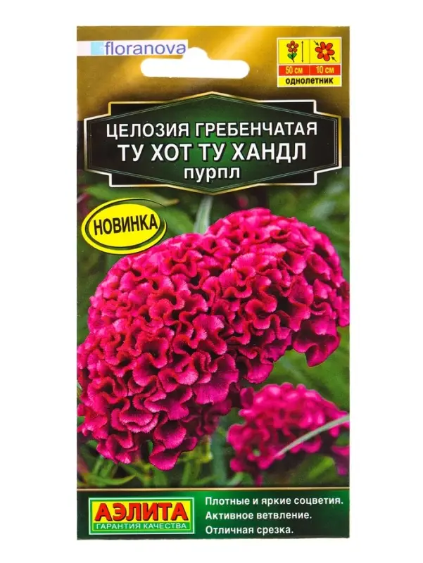 Семена цветов Целозия гребенчатая Ту хот ту хандл пурпл С. Floranova Золотая серия, Ц/П,5 шт. 10945 Семена цветов Целозия гребенчатая Ту хот ту хандл пурпл С. Floranova Золотая серия, Ц/П,5 шт. 10945