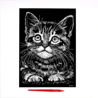 Гравюра &laquo;Котёнок&raquo; с металлическим эффектом &laquo;серебро&raquo; А4
