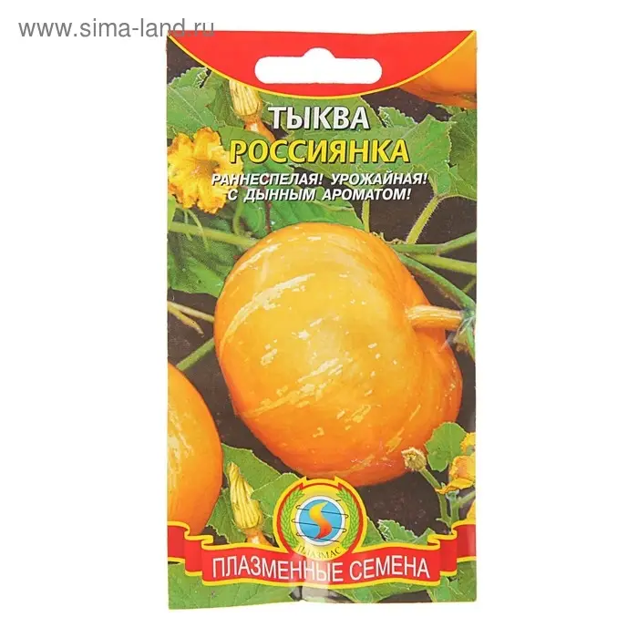 Семена Тыква  Семена Тыква "Россиянка", 2 г