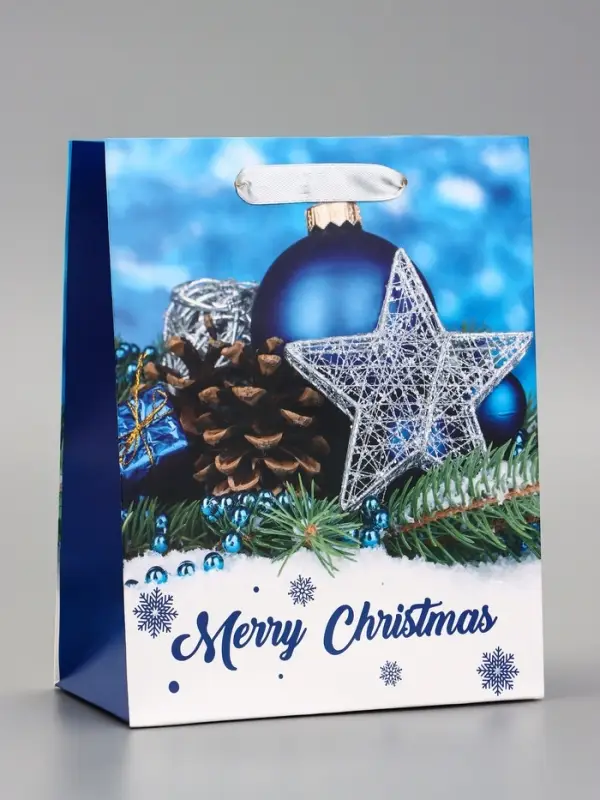 Пакет подарочный ламинированный Пакет подарочный ламинированный "Рождество", 18 х 23 х 10 см