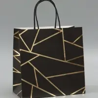 Пакет подарочный &laquo;Золотые линии&raquo;, с тиснением, 22.5&times;23&times;10 см