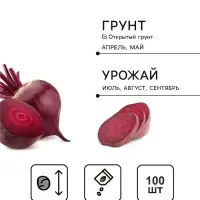 Семена Свекла &laquo;Пабло&raquo;, F1, 100 шт., &laquo;Дом семян&raquo;